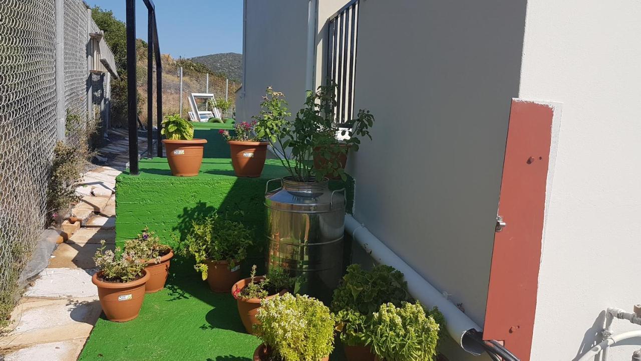 Anatoli Studios Agios Fokas  外观 照片